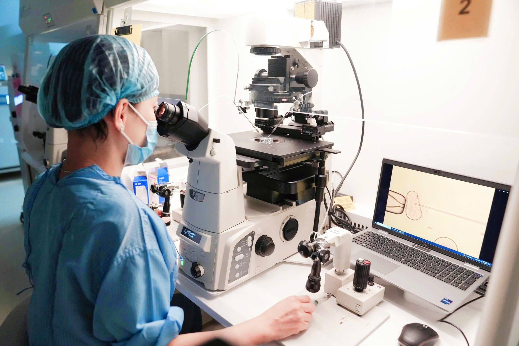 Embryologist working in a modern IVF laboratory